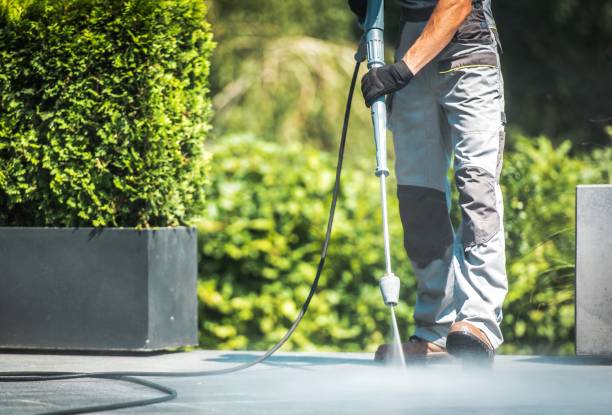 Best Gutter Cleaning  in Altamont, TN