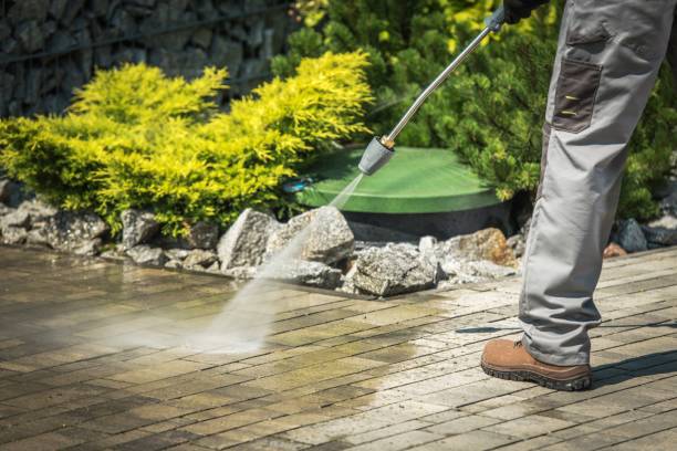 Professional  Pressure Washing Services in Altamont, TN